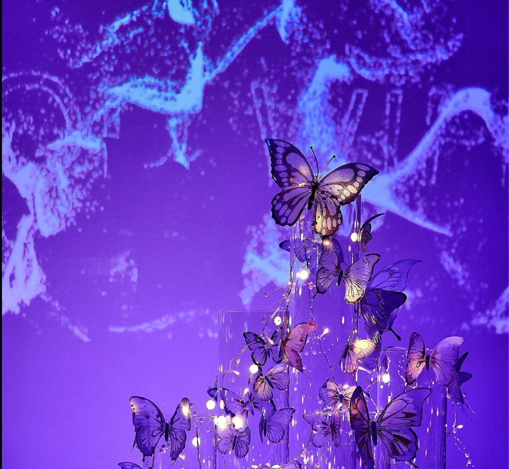 III · The butterfly