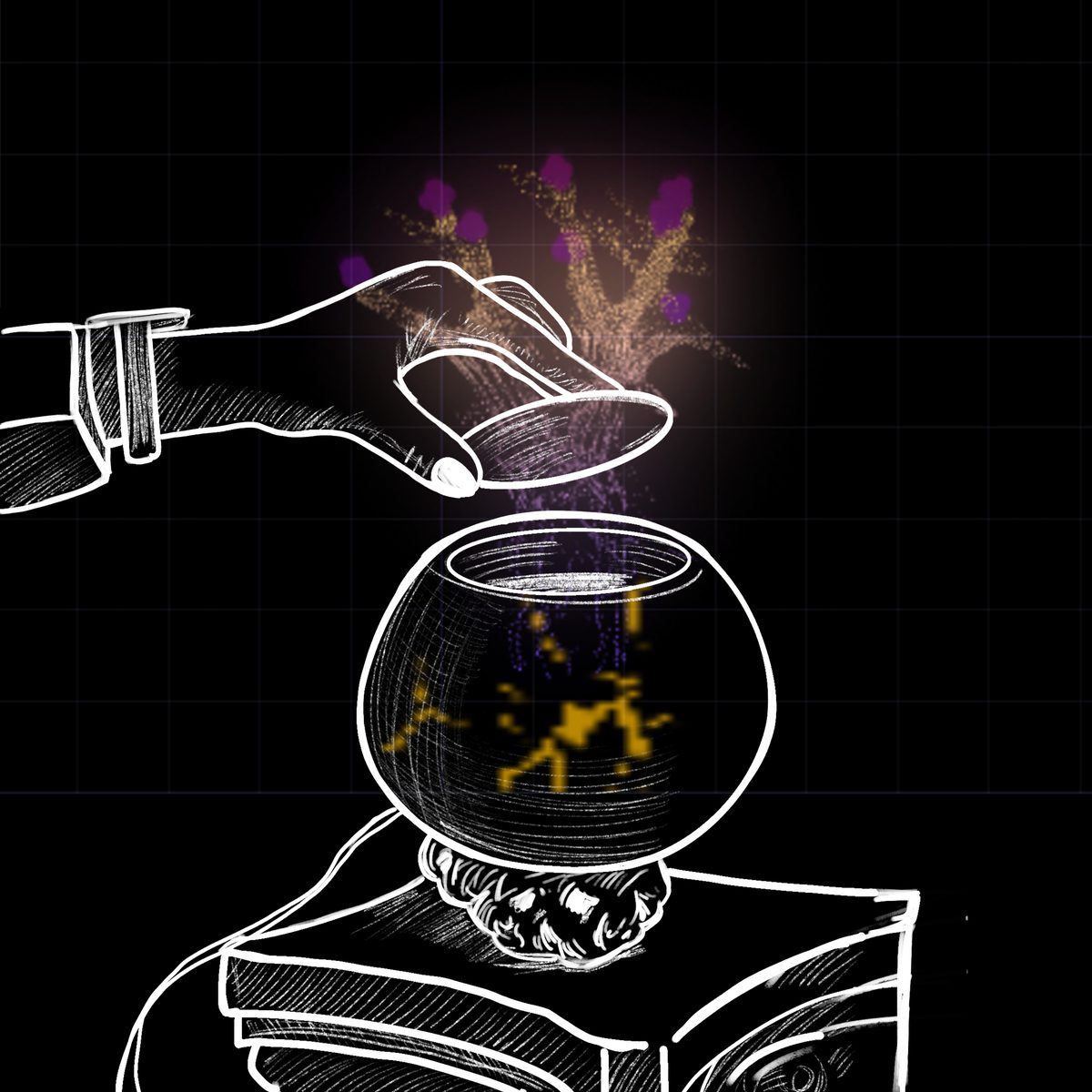 Lifting the lid lets the light in